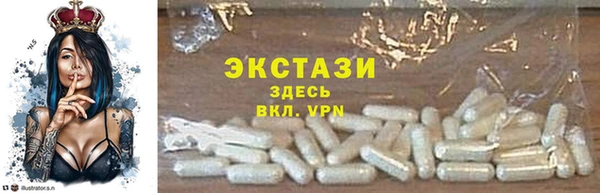 индика Козельск