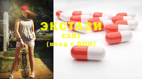 индика Козельск