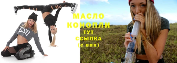 индика Козельск