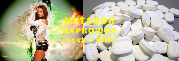 индика Козельск