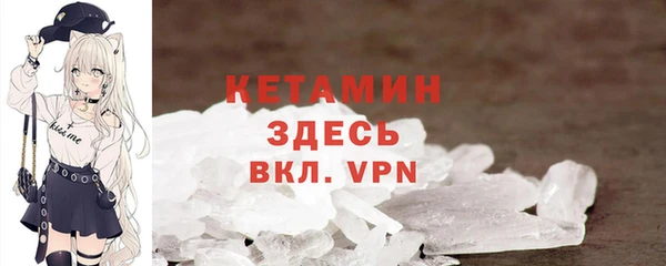 индика Козельск