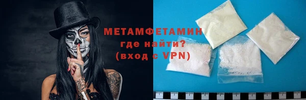 индика Козельск