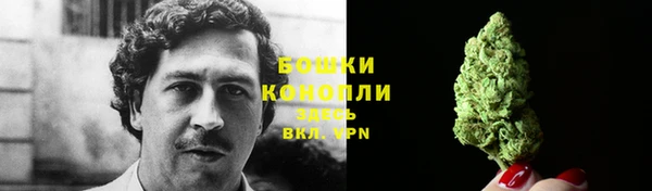 индика Козельск