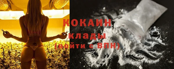индика Козельск