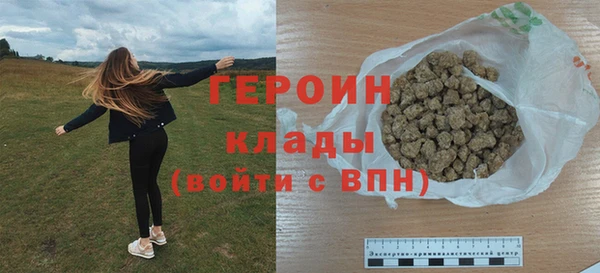индика Козельск