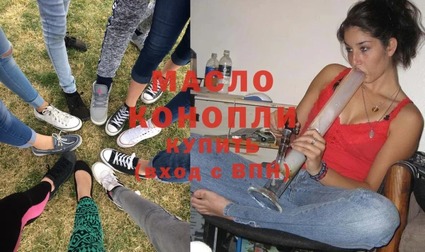 индика Козельск