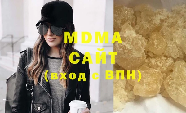 индика Козельск