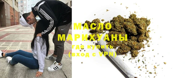 индика Козельск