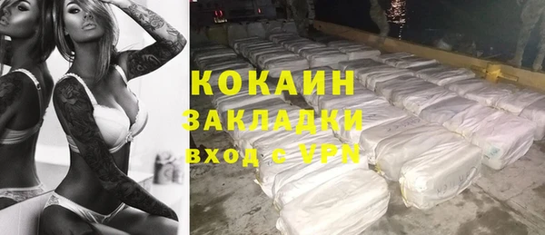 индика Козельск